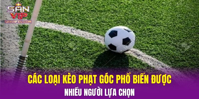 Các loại kèo phạt góc phổ biến được nhiều người lựa chọn